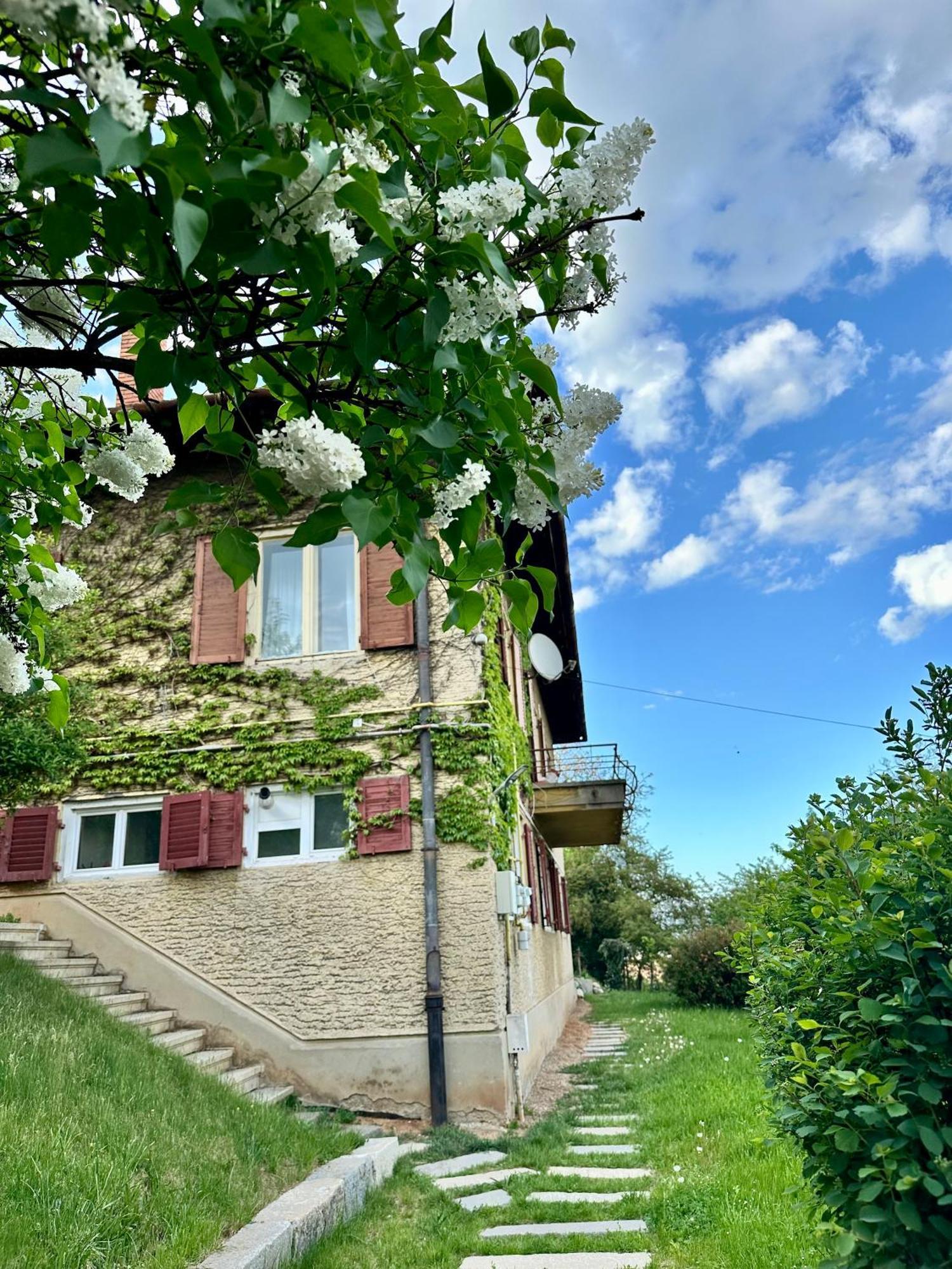 Cloos - Elegant Residence With Panoramic View Braşov Eksteriør billede